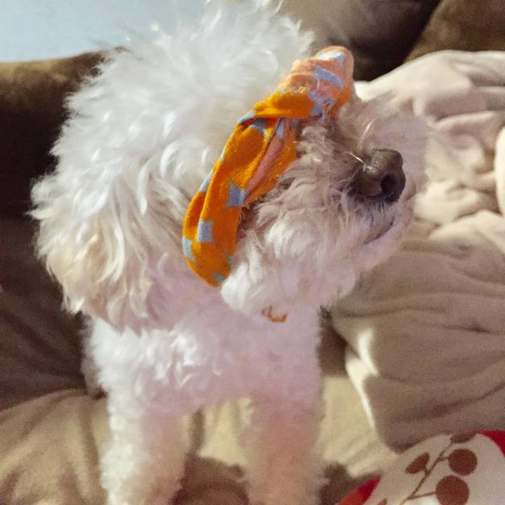 2d212be3 dca8 4321 8d54 d97e4c606e55