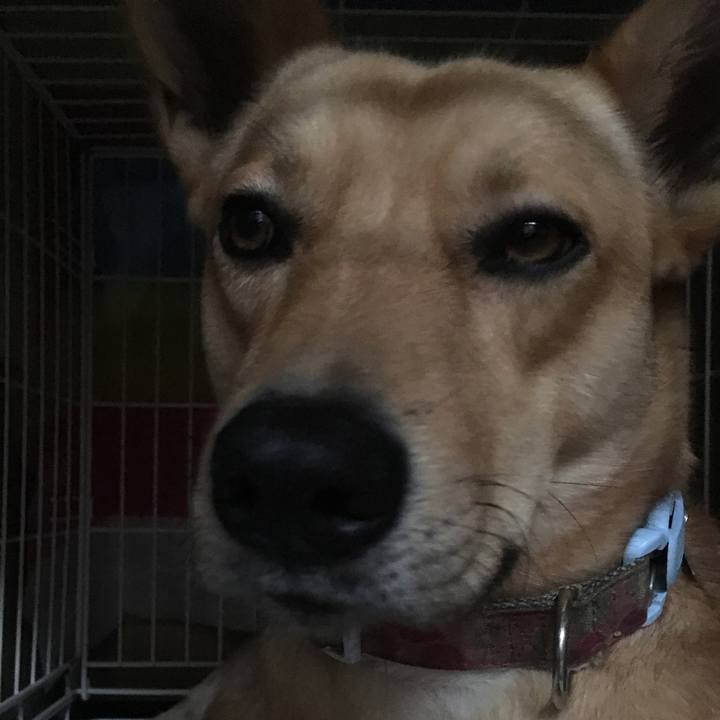 2d21cb6c aee0 4a2c 9bd2 b38e61b79da2