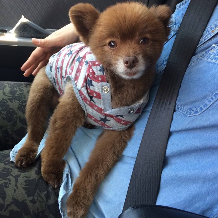 2d22327d f67f 4d5b ac6c bcba0b4f9b4a