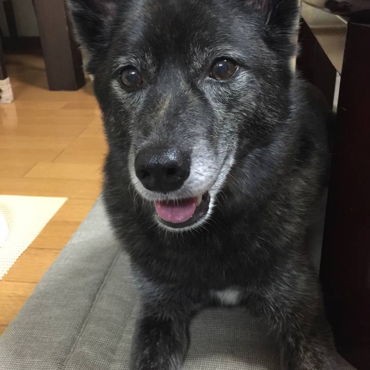 2d224bba 9606 4400 aa11 309259f1fb60