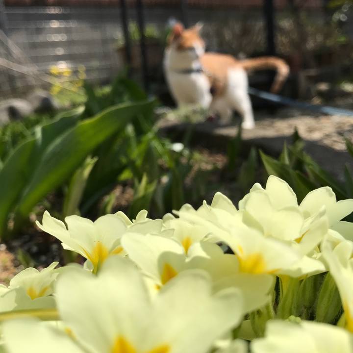 2d23b30e ee83 4a74 88bc 2268f40eabed