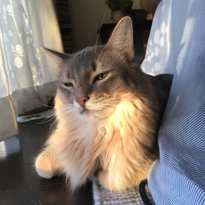 2d243c9a 3192 42d7 b673 4c75f402064e