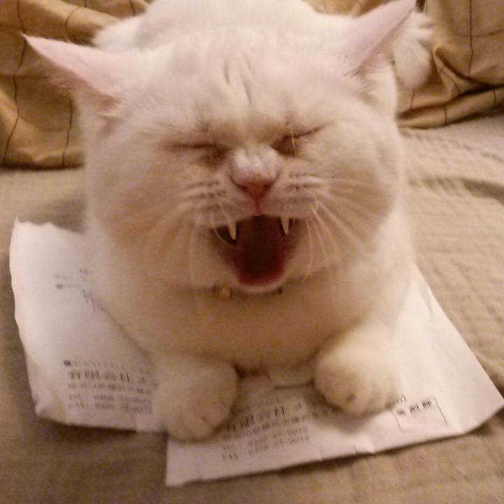 2d251273 0b55 4327 a39e c86a3be0deca