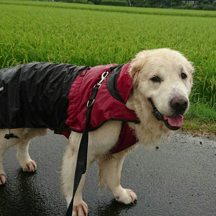 2d25373b 9942 4e67 b642 71db19719392