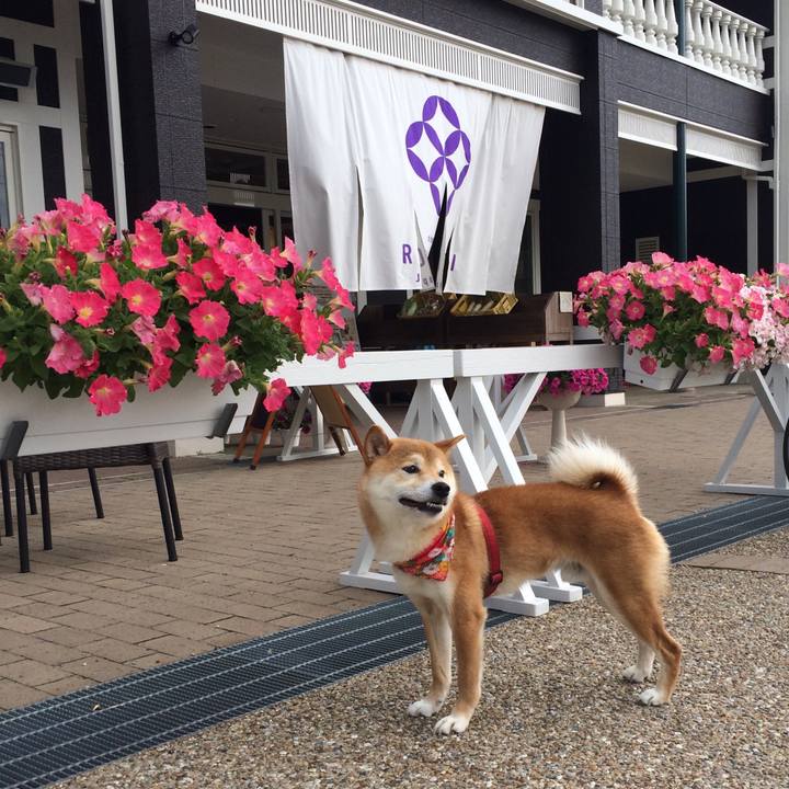 2d25911e d73a 4398 ba77 6ca117874138