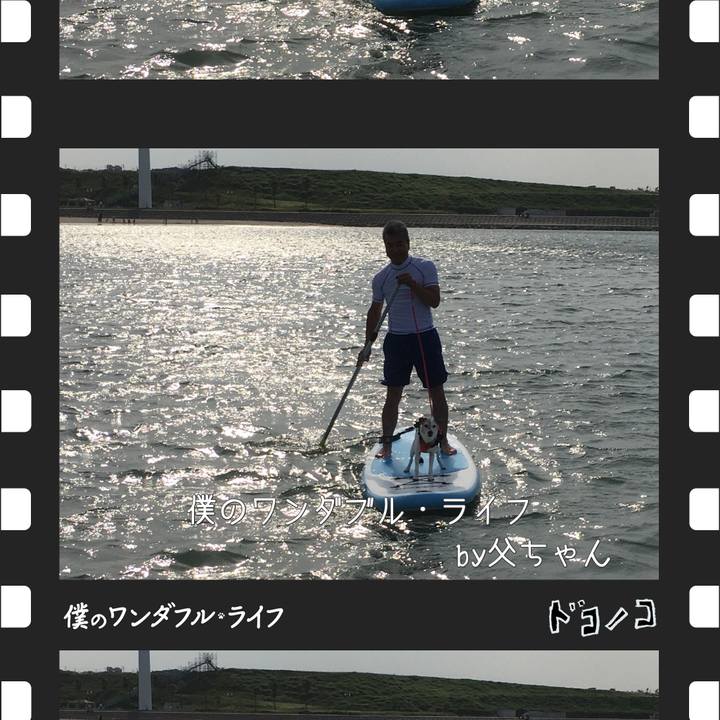 2d26eb75 9d50 4c22 badb 417fbd8640c1