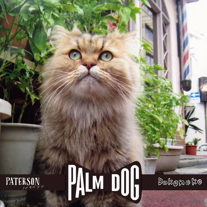 2d27607a 1b7c 403b b336 9f1ef4177378