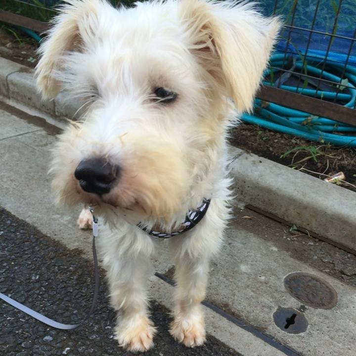 2d279d90 912d 48e5 968b 389446be2f0d