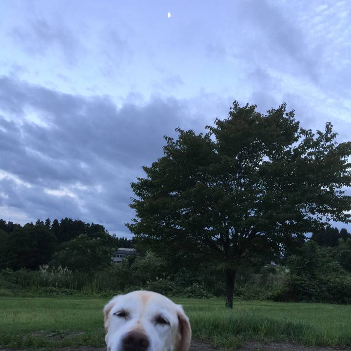 2d27ca7c 7012 4adc 886a f8e5c7f92803