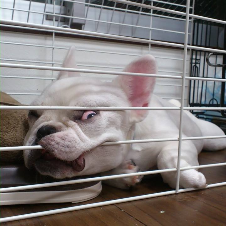 2d28ee25 6a8b 477f bd23 38f05e8aeeb5