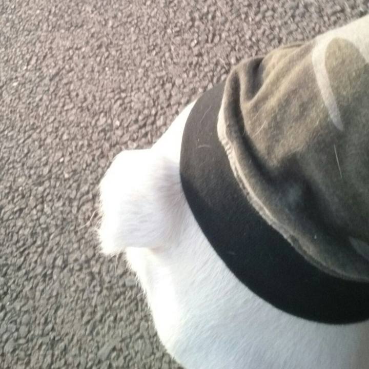 2d290877 64e5 47a2 99ec 4deacf2d948e