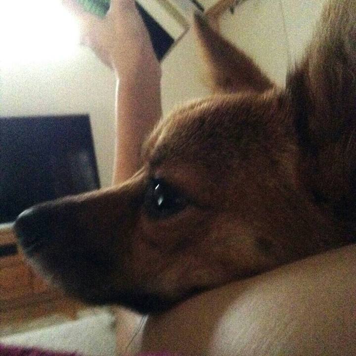 2d2991b6 6538 47d2 b44e aeb27171d7a1