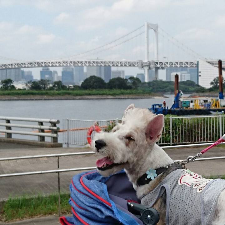 2d29b98a 3159 4b0c abe0 d22b2e7cdd76