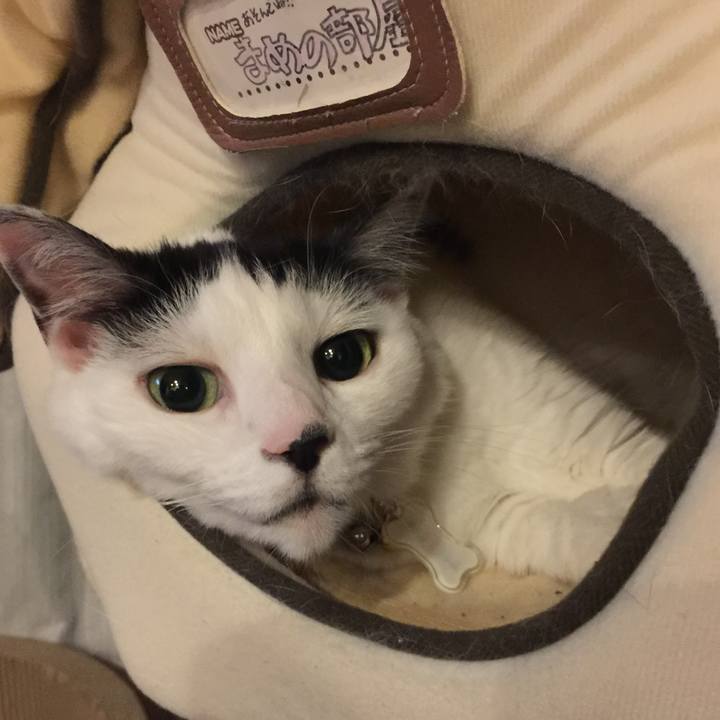 2d29ff1a 38e9 4387 994f 0fdbd1d726d3