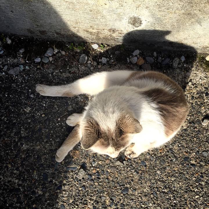 2d2bc07b 4f4b 4f01 a863 432196f57562