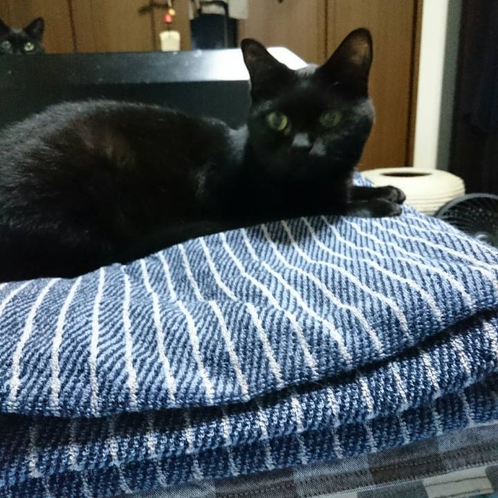 2d2bd3e9 d158 4f08 8209 8ff9b25753e9