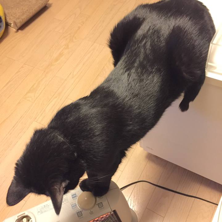 2d2be548 3638 4187 99cd c9e194b46f4a