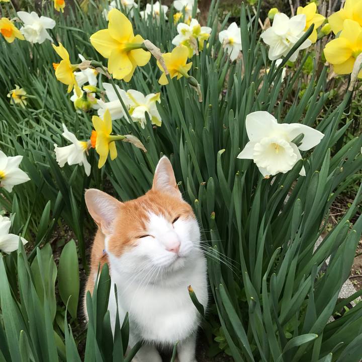 2d2c9d6b d820 4ad6 aa95 5e8ab4272dce