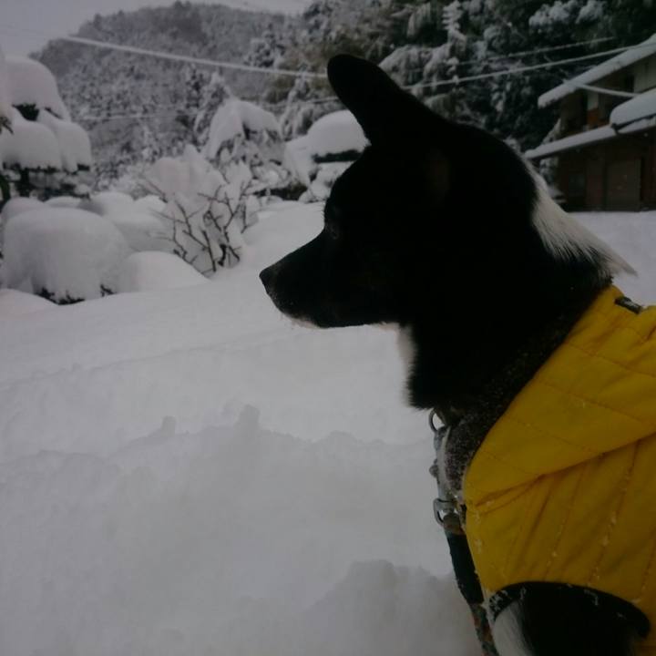 2d2d5d2b ea62 4782 aff1 ff9be090a798