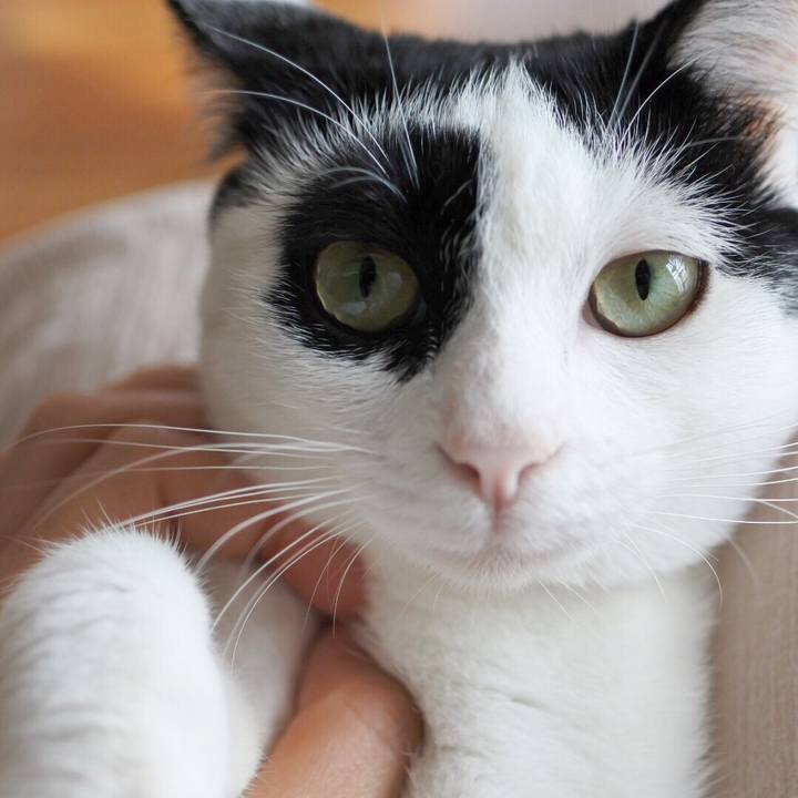 2d2d7c65 899f 4690 98e9 9434dfdb59f2