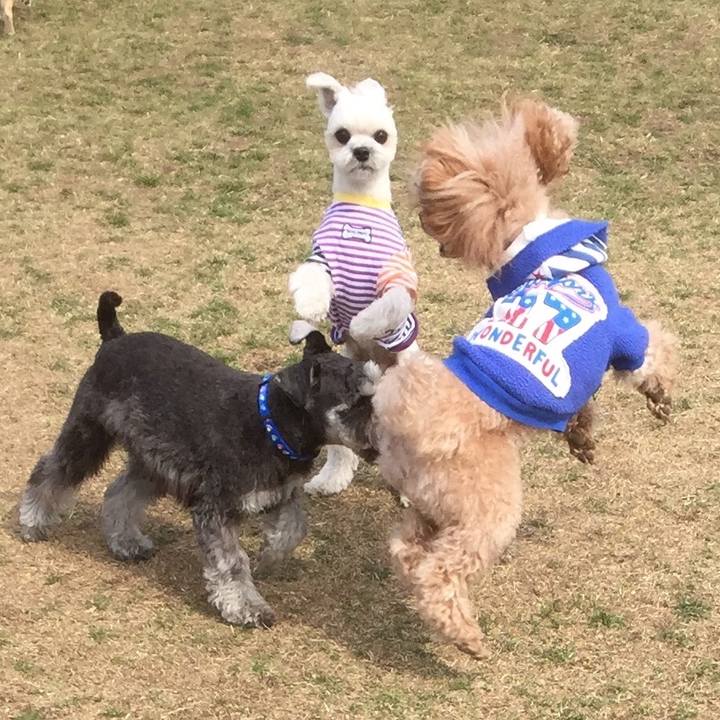 2d2df364 be53 4681 8d1d 457fd726a2d4