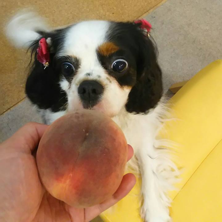 2d2e5f36 d49d 4073 b573 ae3f28fb25b8