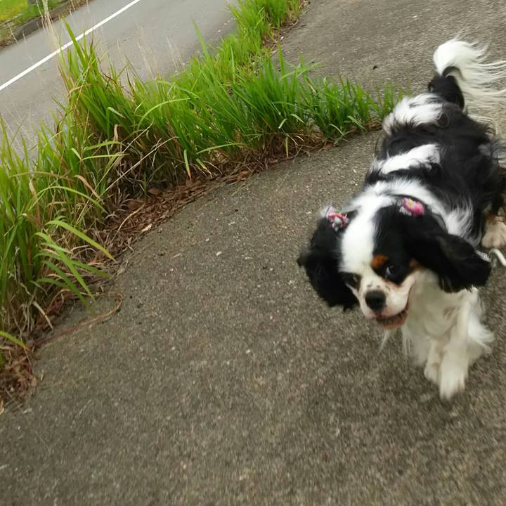 2d2ed04b 8208 4b02 ac04 f2927265fce0