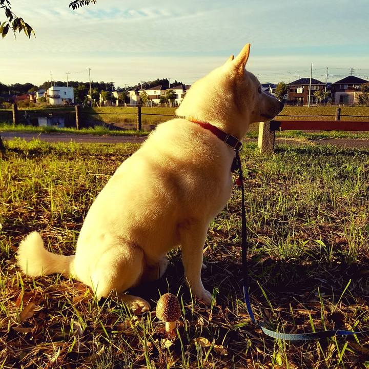 2d2ed374 85c2 478c b7ed 3bd33a710d4d