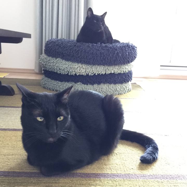 2d2f113b 3916 4055 97a8 e052f2b65811