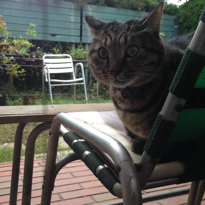 2d2fc924 021a 4ca9 a284 4a4b43b6ee71