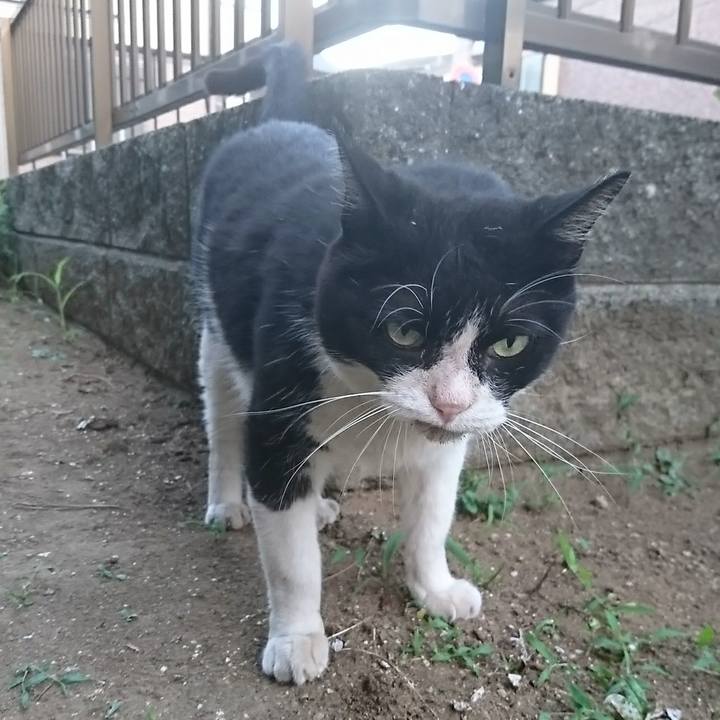 2d2fd233 dc99 443b b00d 9dddbe7ba11c