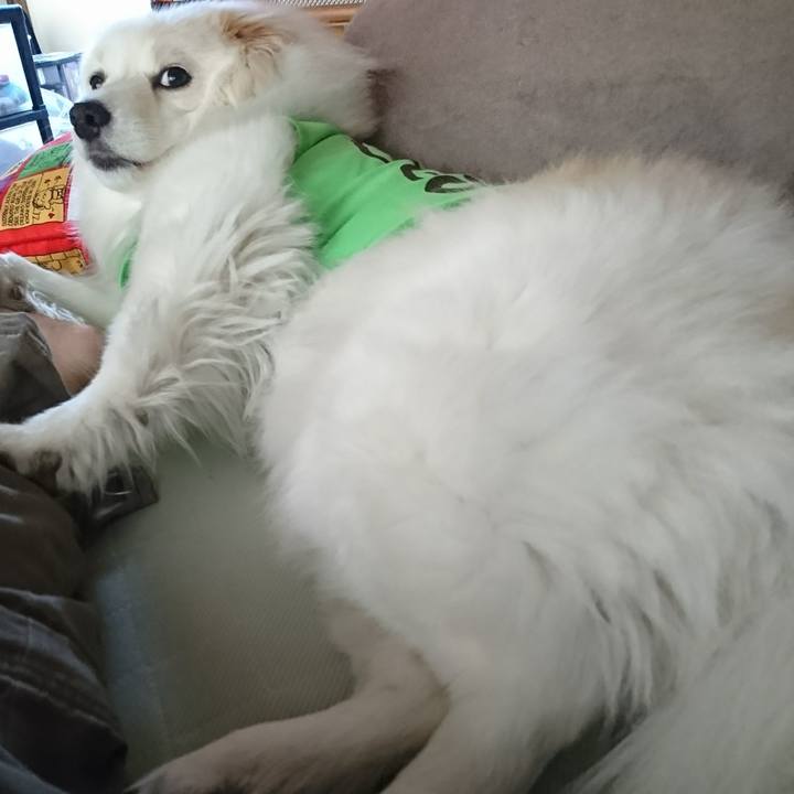 2d3096e0 17e8 475e b1b7 833e35e9bf98