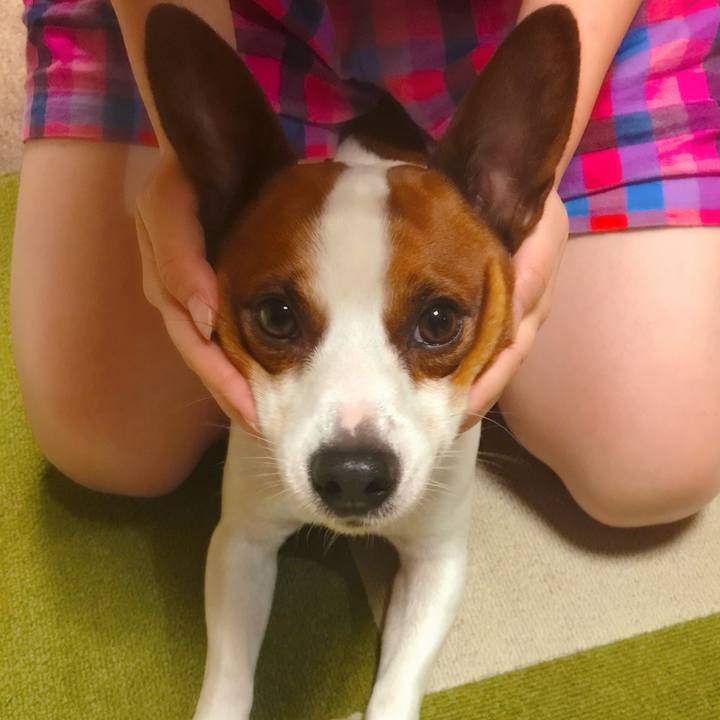 2d309f54 ce01 47ca 8d87 7cb64acdac98