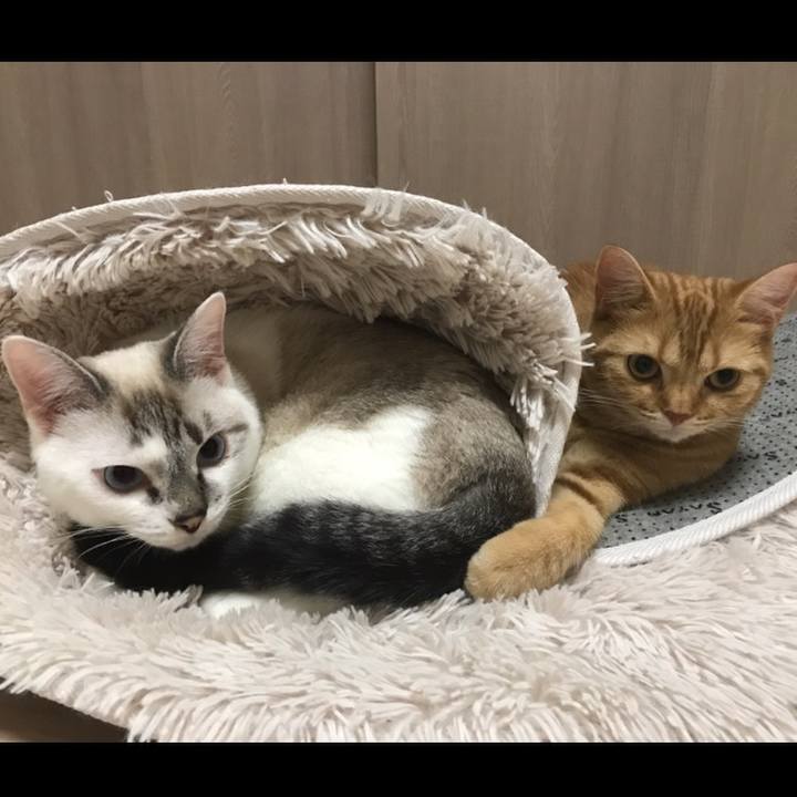 2d30cfd9 5f4e 44e7 843b 11c05b6d6323