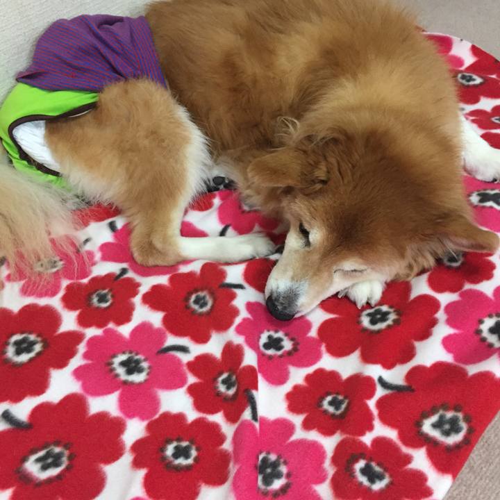 2d30ea57 35b2 4aa5 8718 063c510371a5