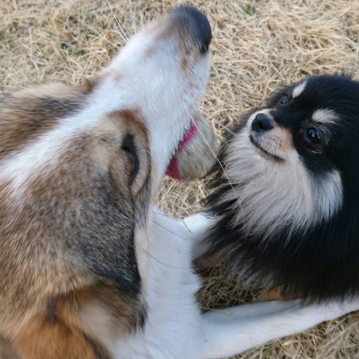 2d315558 4774 4e5d 8a5d 6871e992f4a4