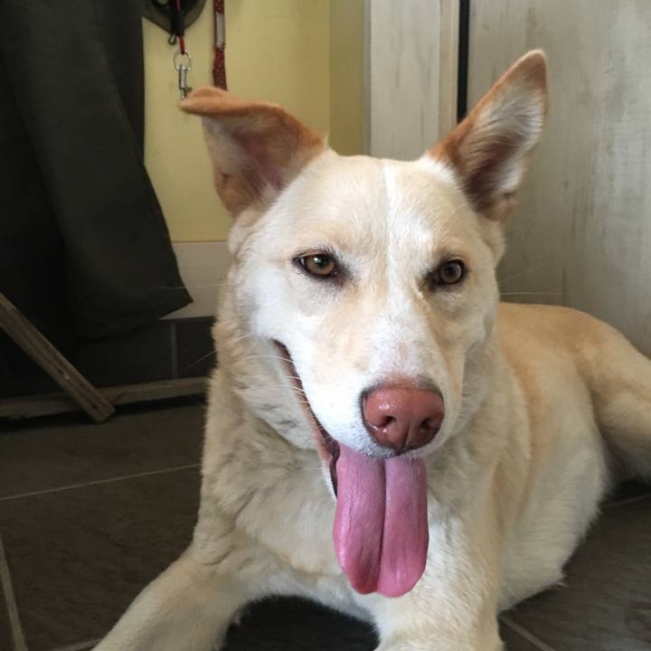 2d316929 c487 4841 9d6d 86fee4898afe