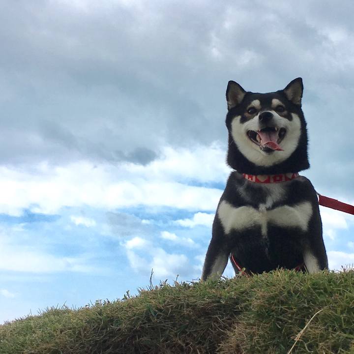 2d31903a 3c95 4c20 b011 cf9ec9b4f356