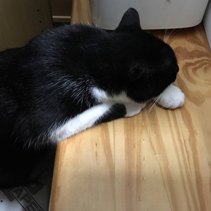 2d31b153 64be 4f94 a306 a2bd2f0d4e2b