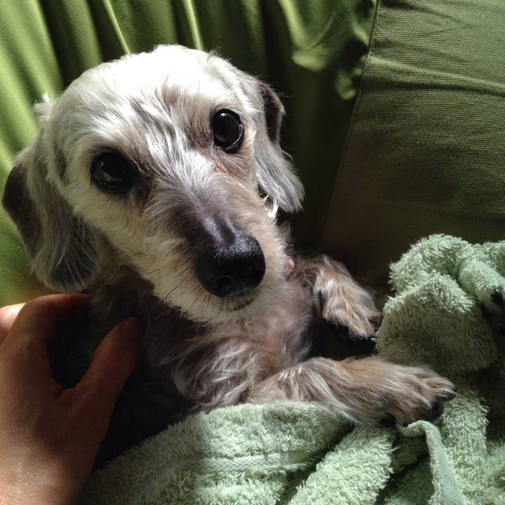 2d31c8a5 f243 4c01 ac7b 75a9b9f626b6