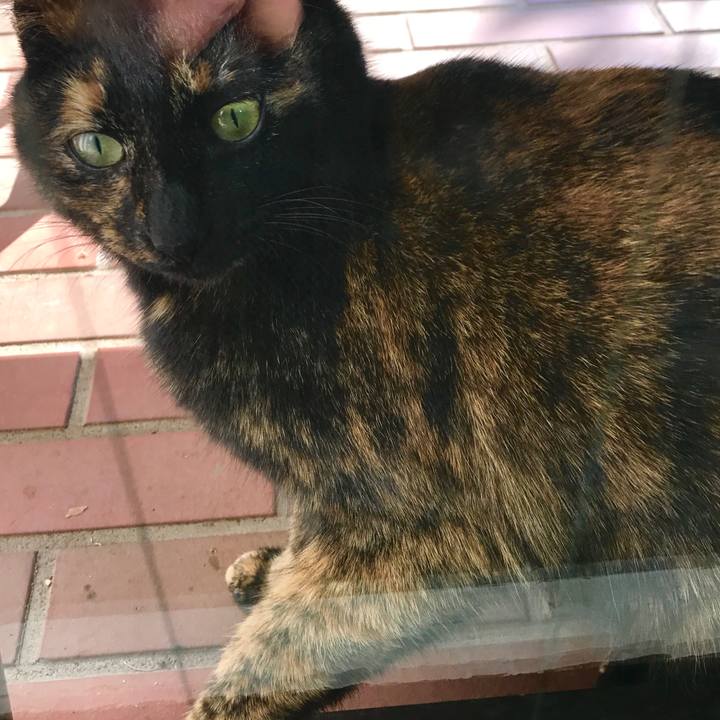 2d31cde8 6c2f 40b7 8da1 ff0d262f0e88