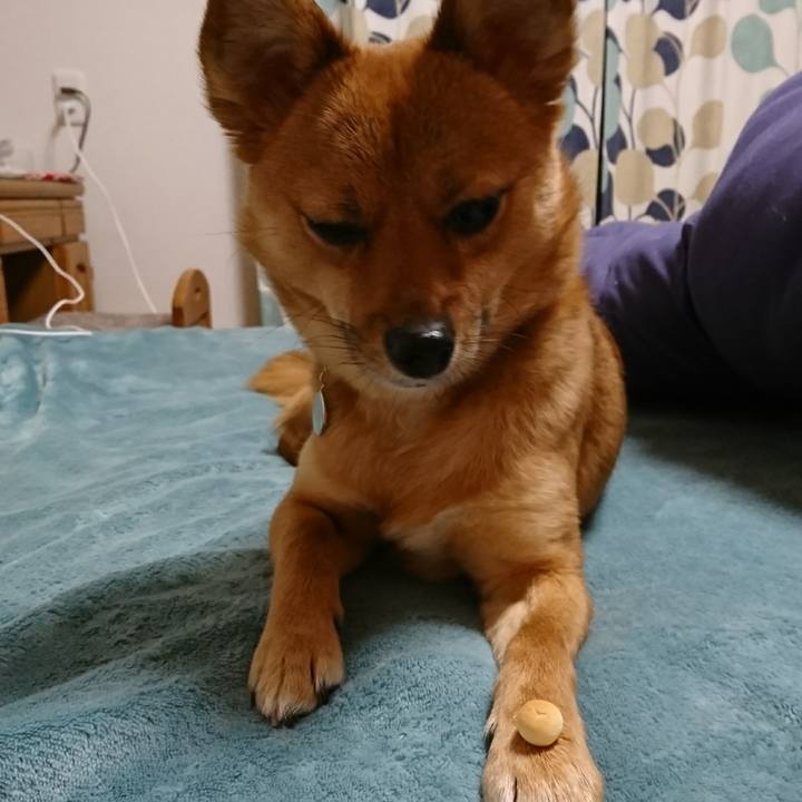 2d32037b f254 4353 a39e 127db3e87807