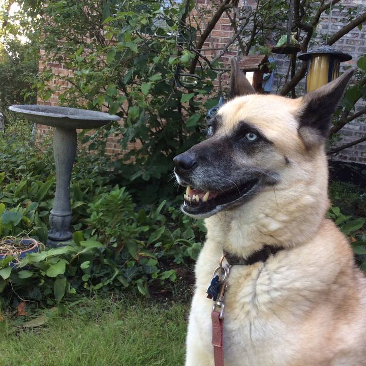 2d321dbb b469 4ad5 b67f acce530a276a