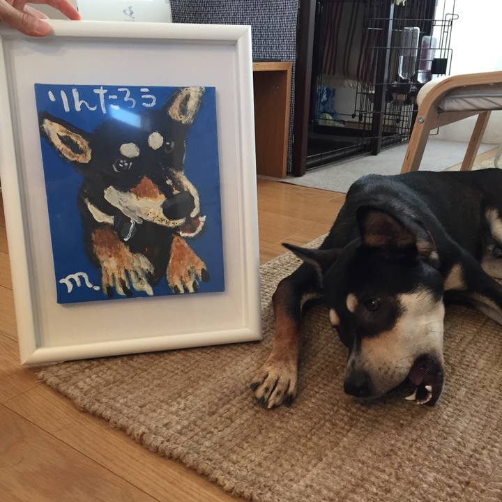 2d322694 f511 44c4 b84c c1c130ddb04b