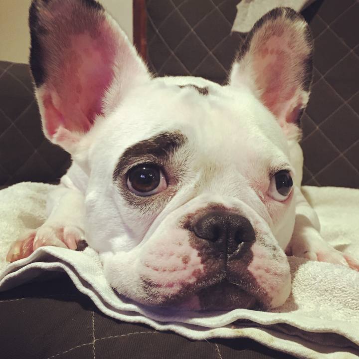 2d3296de e7c2 42e4 9780 d727db6ad910