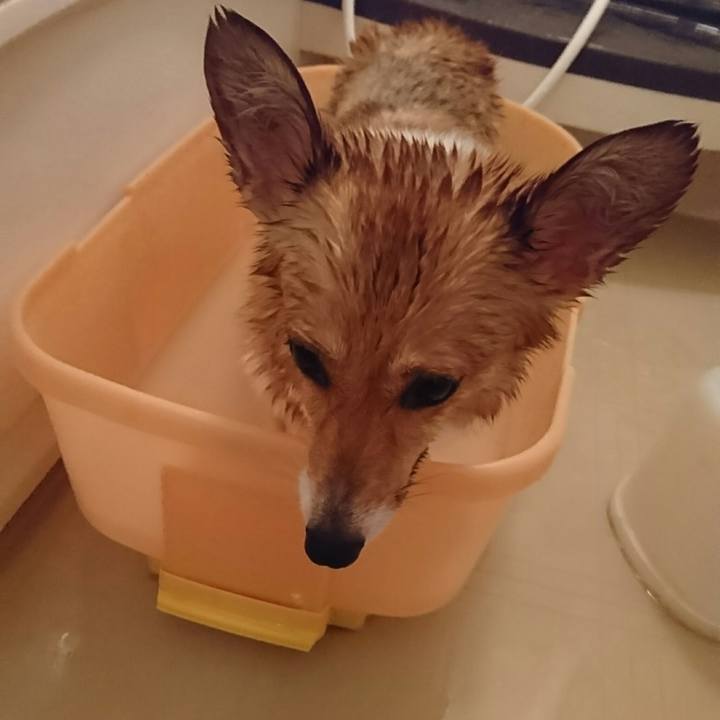 2d32cab2 1362 4eac 8f5c 932fe8a9a443