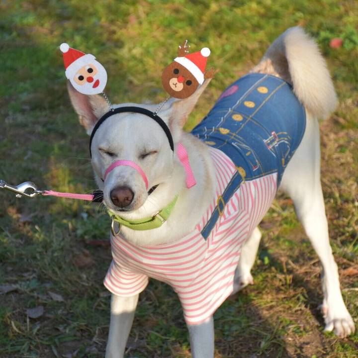 2d3320f7 d933 425d 8348 b169b47867ed