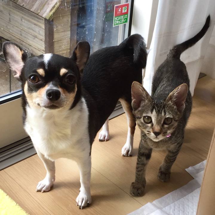 2d33669d 70b2 4722 8704 eeaed1a0ec55