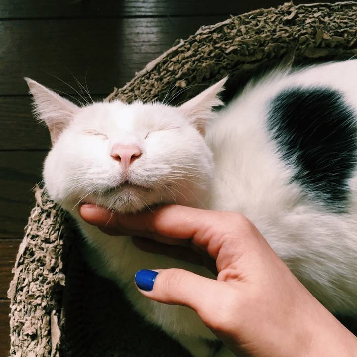 2d337275 98a6 4fa8 ac39 a31aab3549e0