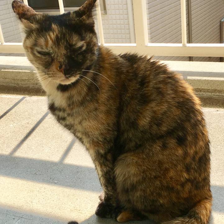 2d33adf0 8eae 44f5 aa22 9efcfc3c63f1